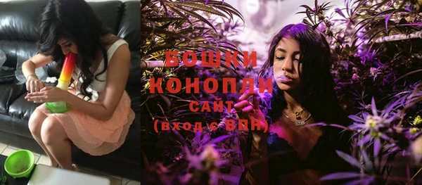 ECSTASY Ладушкин