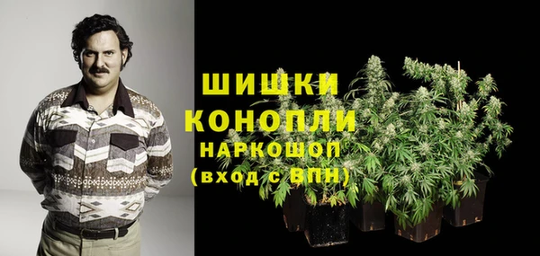ECSTASY Ладушкин