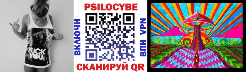 Псилоцибиновые грибы Cubensis  Краснодар 